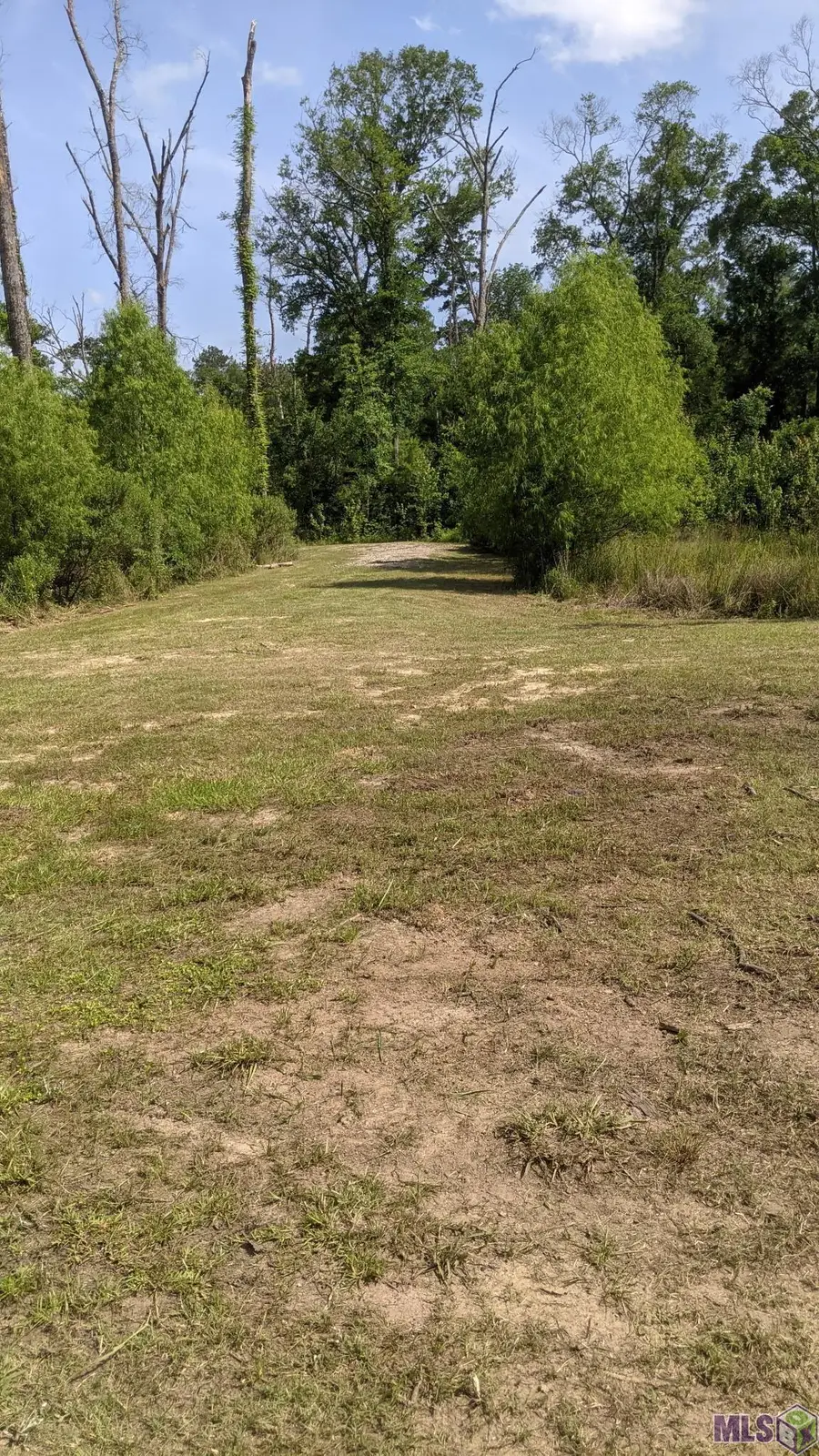 31187 Pace Ln, Walker, LA 70785 - #3