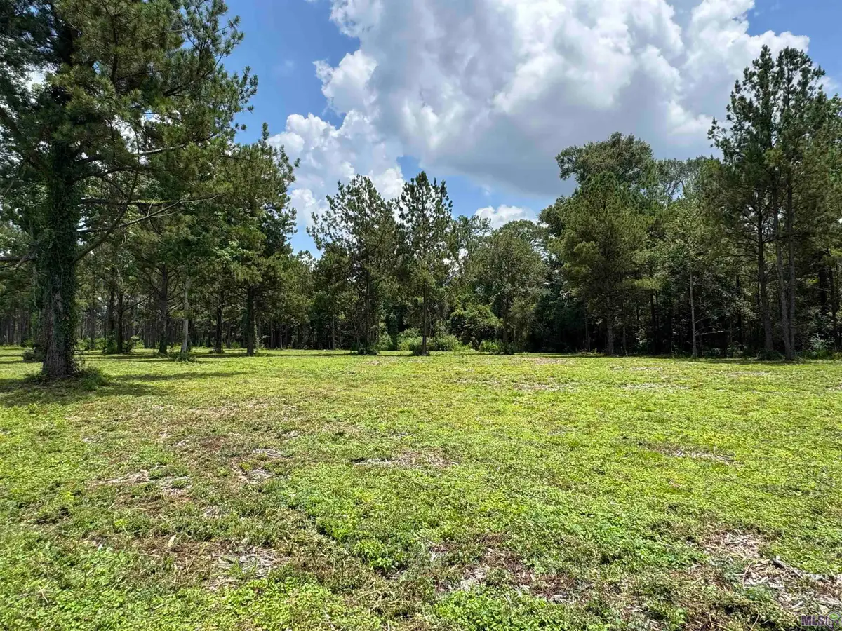 Tract C La Hwy 16, Denham Springs, LA 70706 - #1