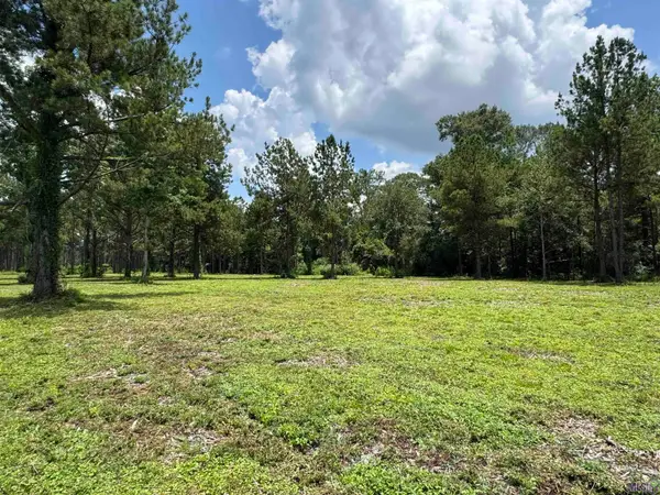 Tract C La Hwy 16, Denham Springs, LA 70706