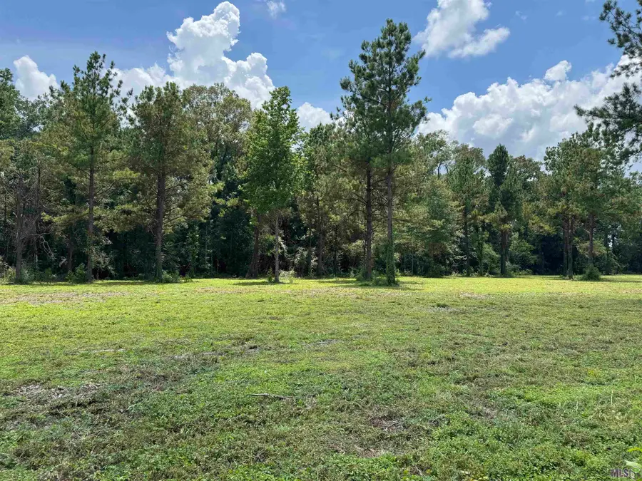 Tract C La Hwy 16, Denham Springs, LA 70706 - #3