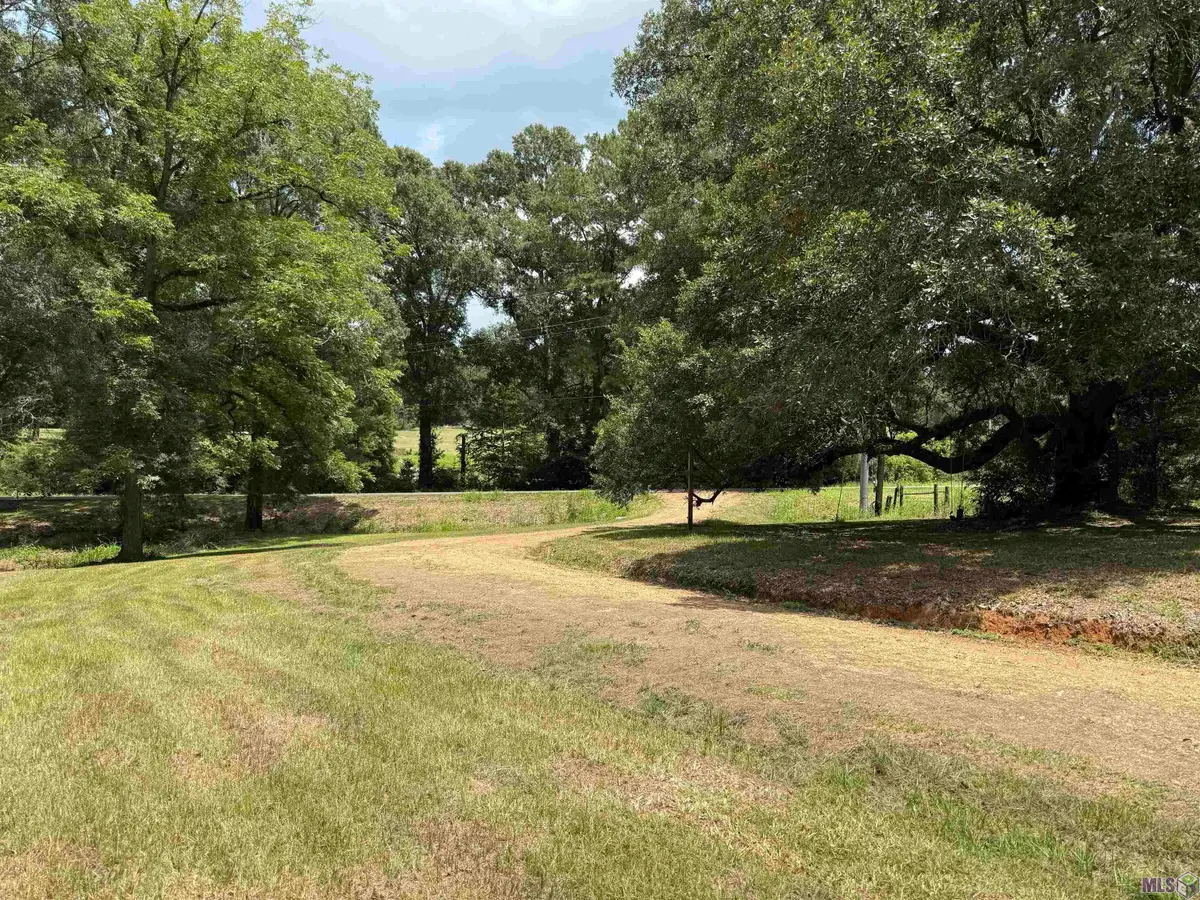 64513 La Hwy 1054, Roseland, LA 70456 - #1