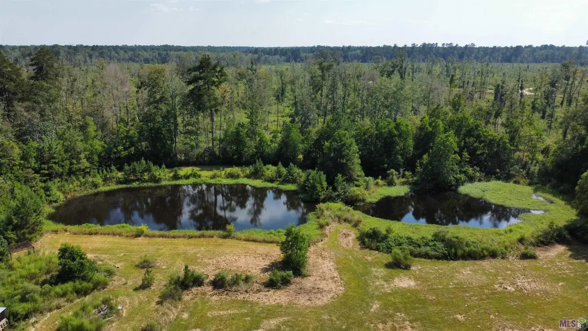 34180 Perkins Rd, Denham Springs, LA 70706 - #1