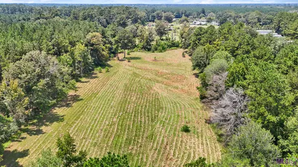 TBD-S2 Walker North Rd, Walker, LA 70785