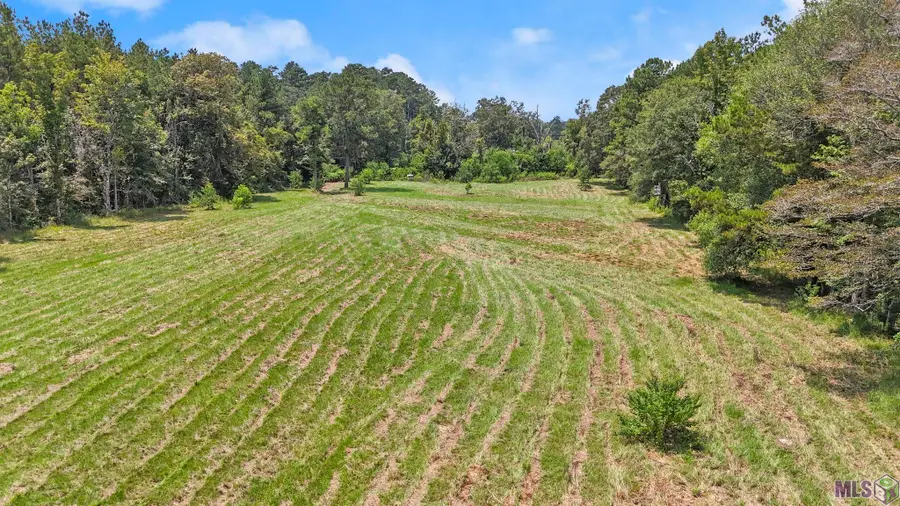 TBD-S2 Walker North Rd, Walker, LA 70785 - #2