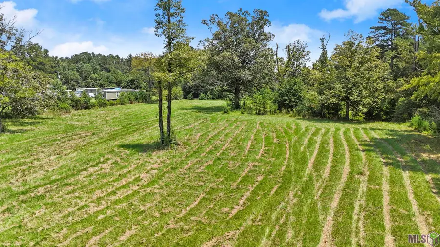 TBD-S2 Walker North Rd, Walker, LA 70785 - #3