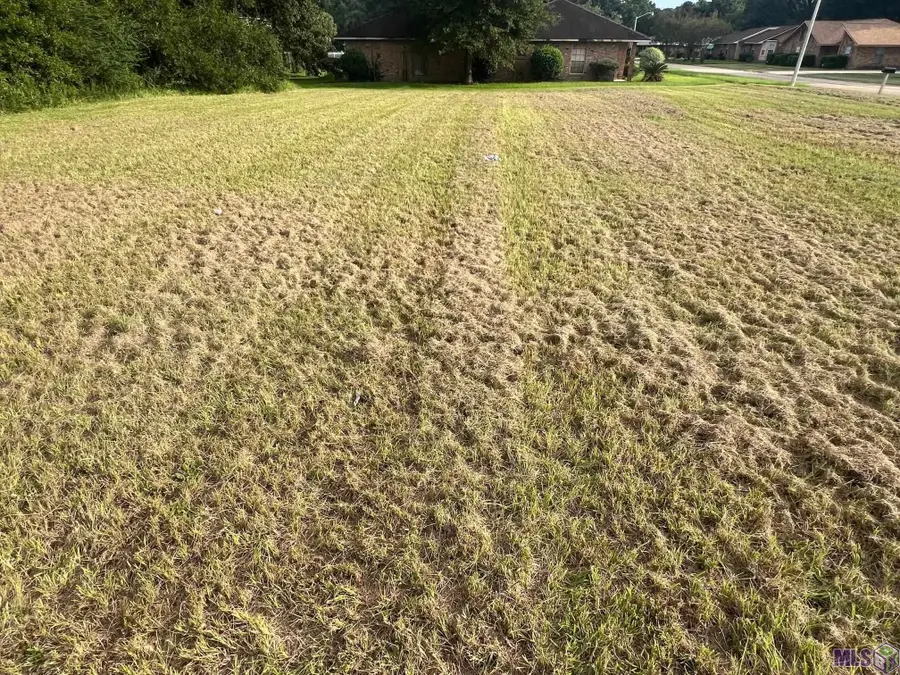 12226 Turnley Dr, Baton Rouge, LA 70807 - #2