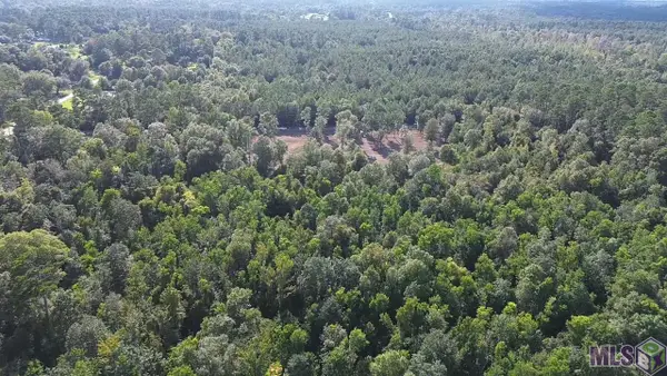 46294 Rufus Bankston Rd, Hammond, LA 70401