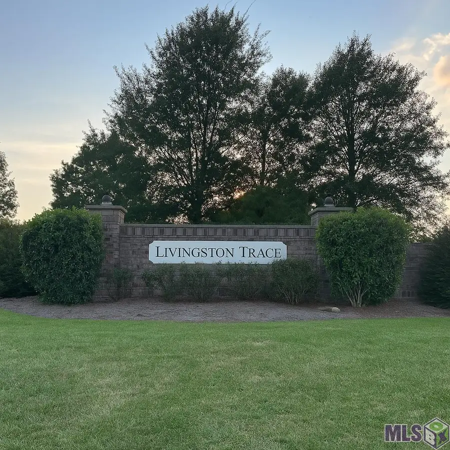 26264 Avoyelles Ave, Denham Springs, LA 70726 - #3