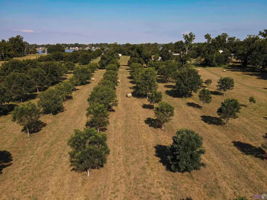 8784 Island Rd, Ventress, LA 70783 - #2