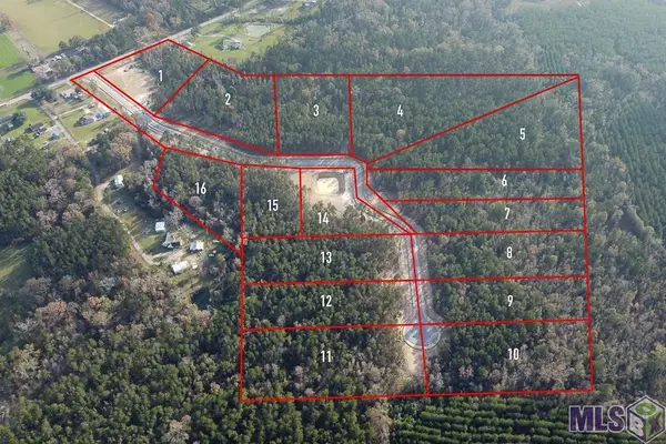 18592 Settlement Trace, Livingston, LA 70754