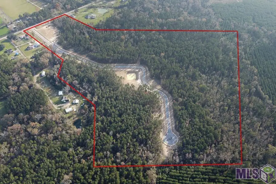 18592 Settlement Trace, Livingston, LA 70754 - #2