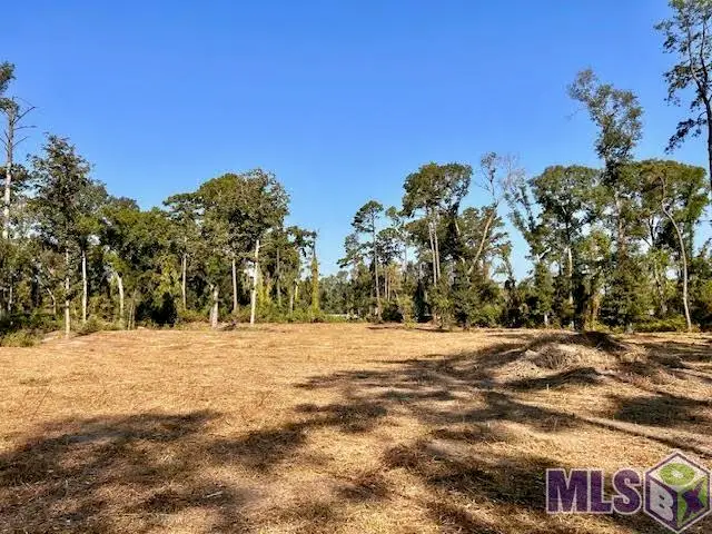 TBD Catholic Hall Rd, Albany, LA 70711 - #2