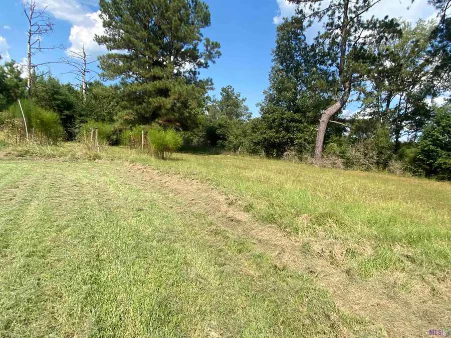 1532 Genola Rd, Clinton, LA 70722 - #2