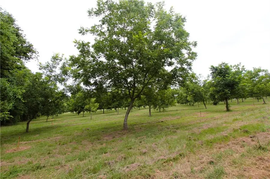 619 Woodson Road, Effie, LA 71331 - #2