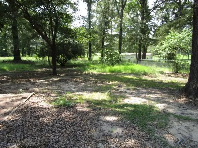 198 Fred Scott Road, Pollock, LA 71467 - #3