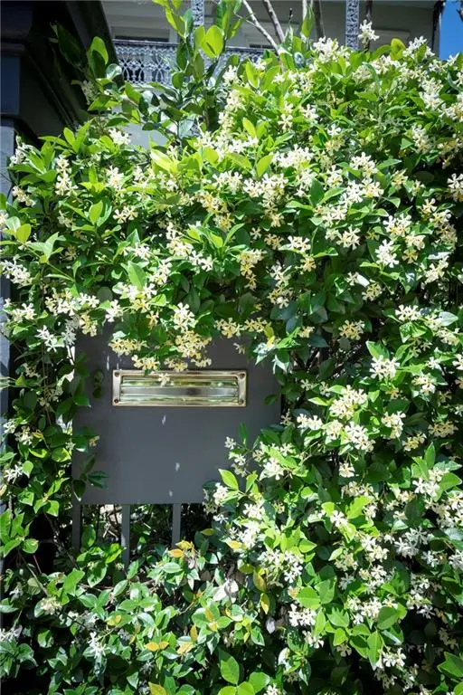 2523 Prytania Street, New Orleans, LA 70130 - #3