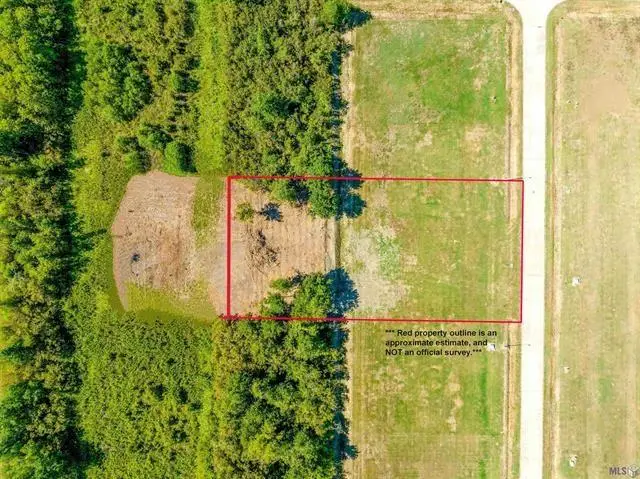 377 Le Belle Maison Drive, Raceland, LA 70394 - #3