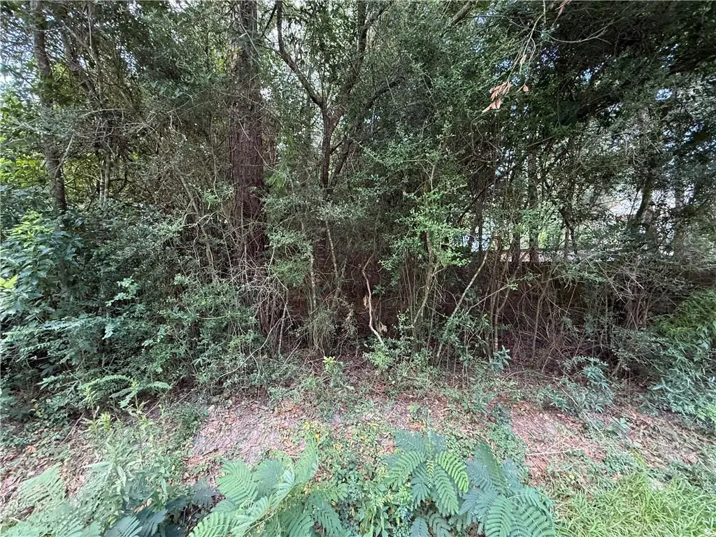 26028 E Birch Street, Lacombe, LA 70445 - #1