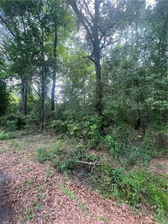 Lot 1 Nola Lane, Bogalusa, LA 70427 - #2
