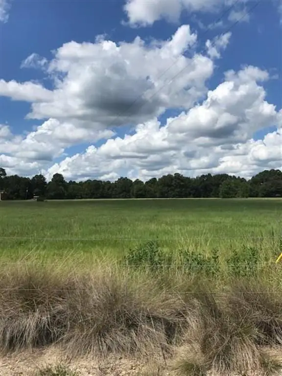 Hickory Branch, Lot 2 Road, Lake Charles, LA 70611 - Image #2