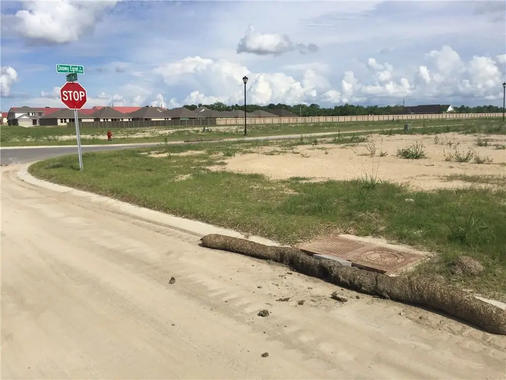 299 Pelican Row Drive #299, Lake Charles, LA 70615 - Image #1