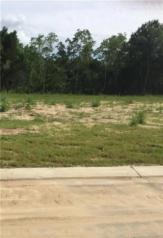 94 Red Tailed Hawk Road #94, Lake Charles, LA 70615 - #1