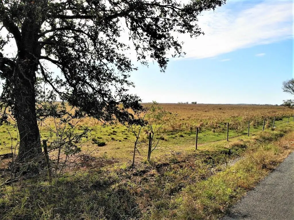 Blanchard Road, Welsh, LA 70591 - Image #1