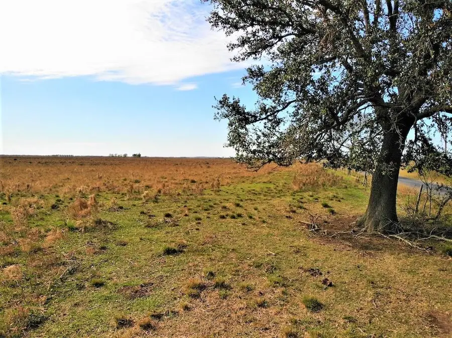 Blanchard Road, Welsh, LA 70591 - Image #3