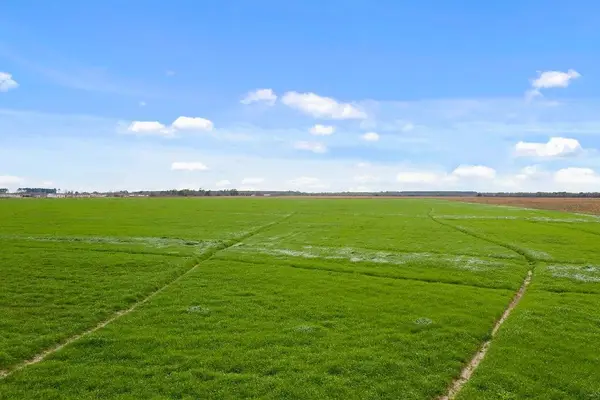 21 Gro Racca Road #21, Iowa, LA 70647