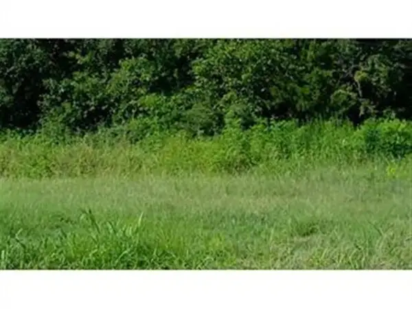 Big Pasture Road, Grand Lake, LA 70607