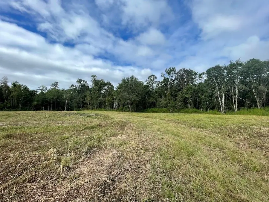 Hickory Flat Road, Kinder, LA 70648 - Image #3
