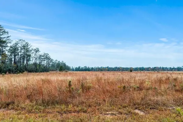 Mccorquodale Lot 17 Road, Longville, LA 70652