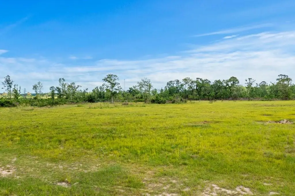 Highway 113 Highway, Reeves, LA 70658 - #1