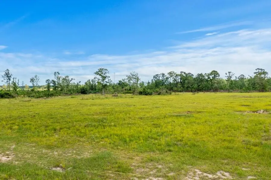 Highway 113 Highway, Reeves, LA 70658 - #2