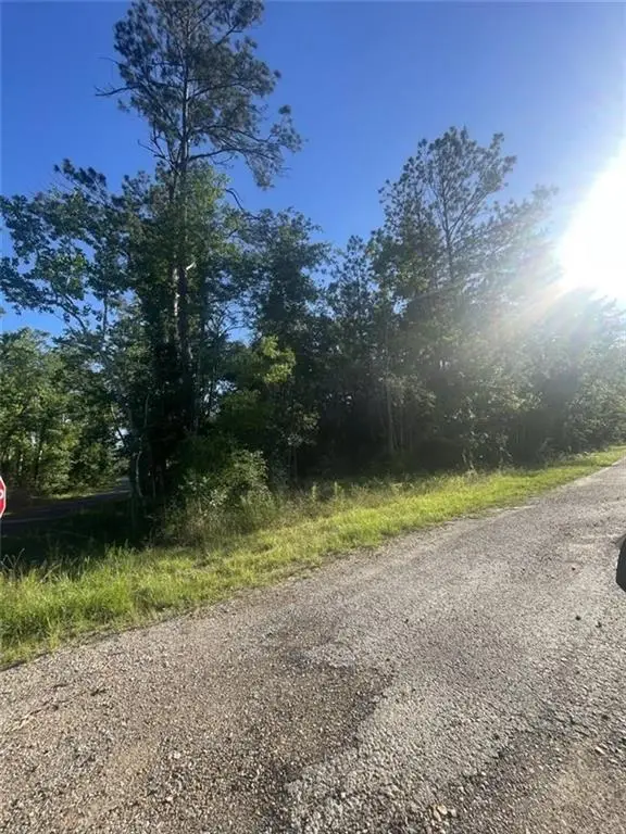 Ginger Lane, Ragley, LA 70657 - Image #1