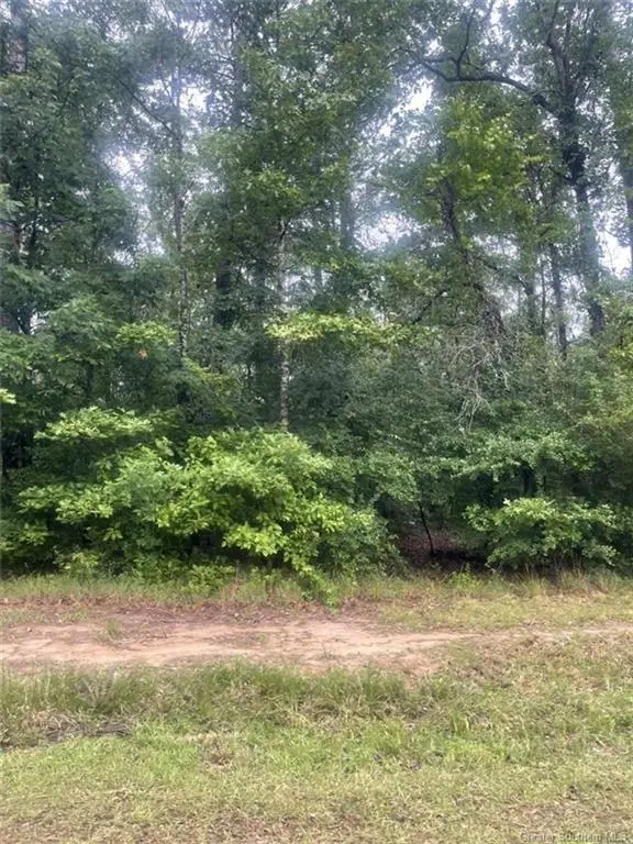 Ernest Drive, Ragley, LA 70657 - Image #3