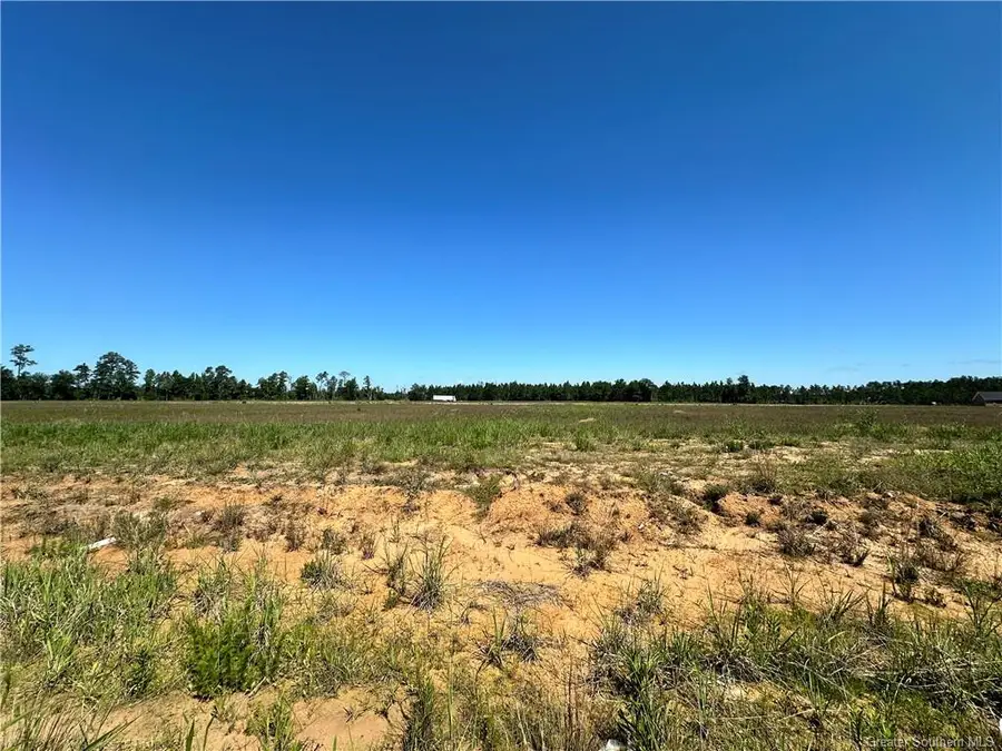 0 Daffodil Drive, Ragley, LA 70657 - Image #2