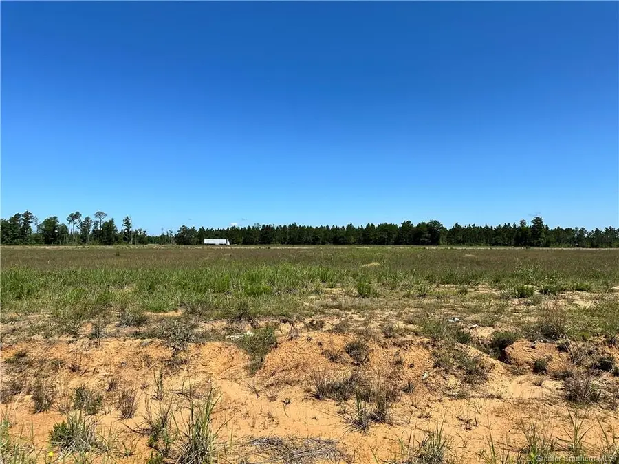 0 Calla Lily Drive, Ragley, LA 70657 - #3
