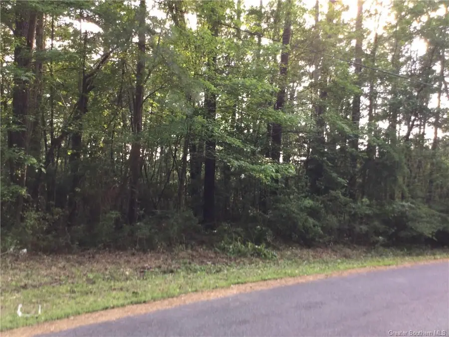 0 Stanley Road, Leesville, LA 71446 - #2