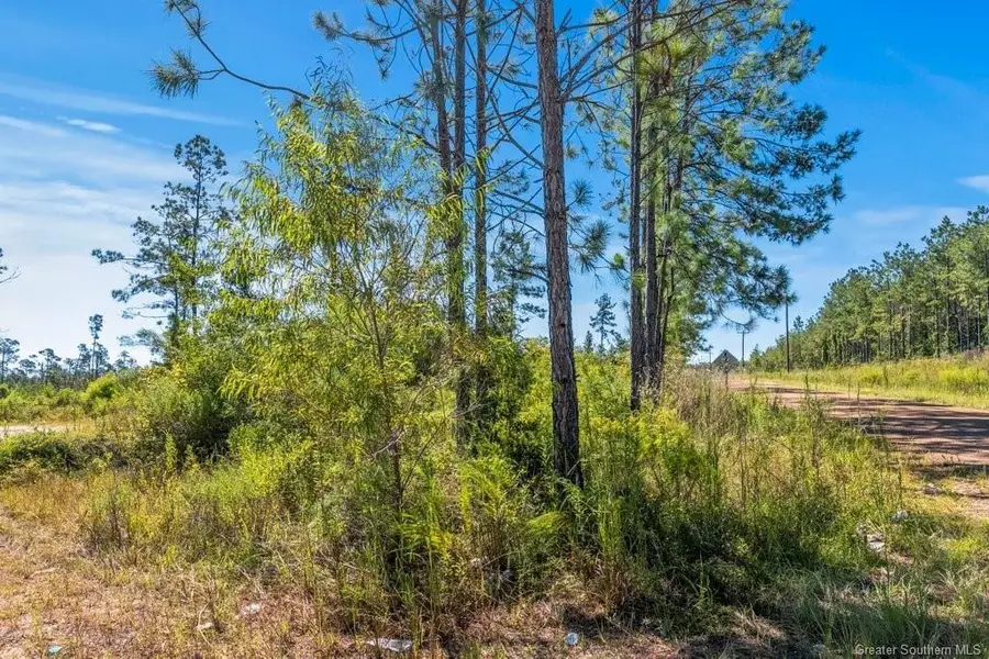 2 Pilgrim Rest Road, Dequincy, LA 70633 - Image #3