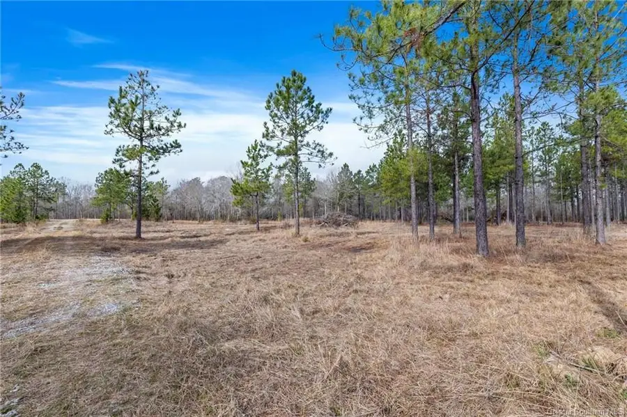 0 Conway Rosteet Road #Tract 3, Ragley, LA 70657 - #2