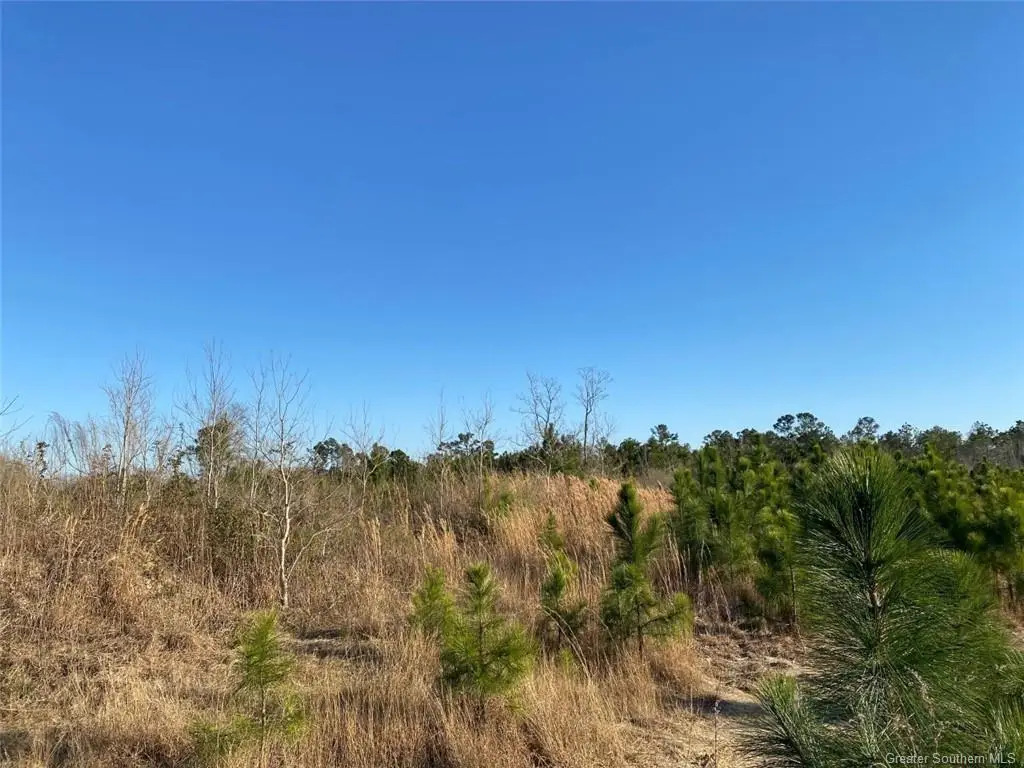 0 College Heights, Lake Charles, LA 70605 - Image #1