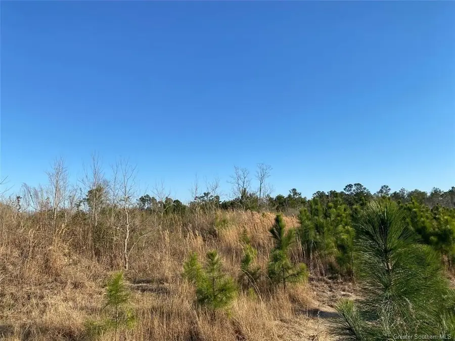 0 College Heights, Lake Charles, LA 70605 - Image #2