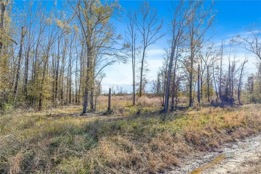 0 Mattie Reeves Road, Lake Charles, LA 70611 - Image #3