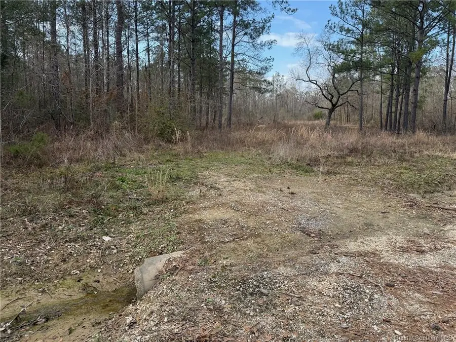 107 Brahma Drive, Ragley, LA 70657 - Image #2