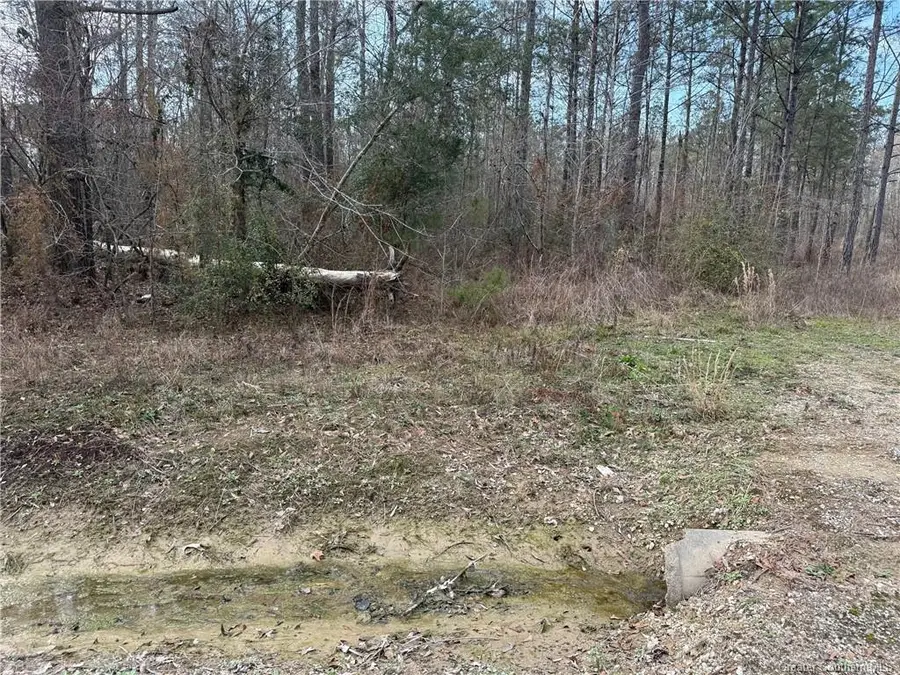 107 Brahma Drive, Ragley, LA 70657 - Image #3