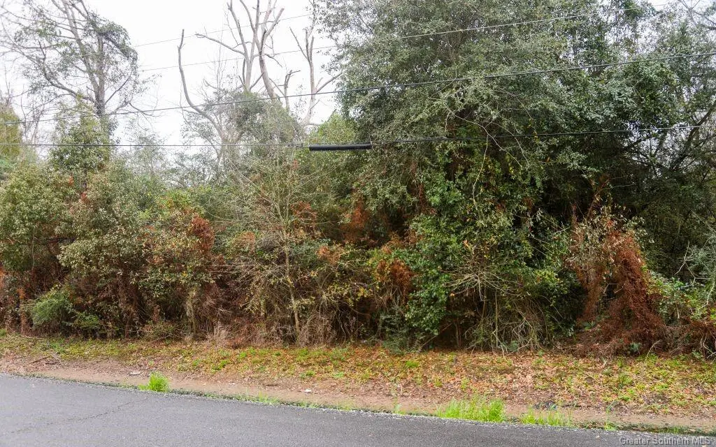 0 W Hebert Road W, Lake Charles, LA 70607 - Image #1