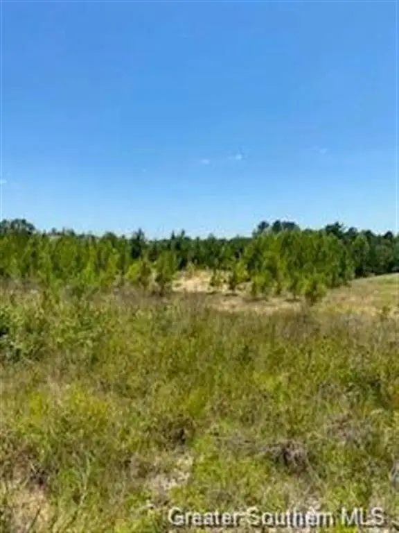 0 Stanley Road, Leesville, LA 71446 - Image #1