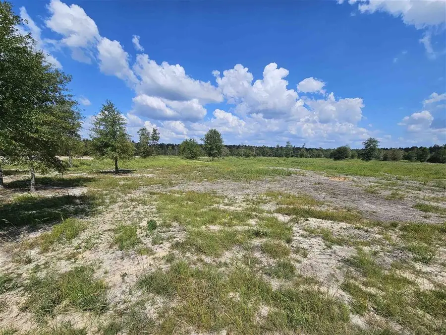 2 Route 66 Road, Dequincy, LA 70633 - Image #2