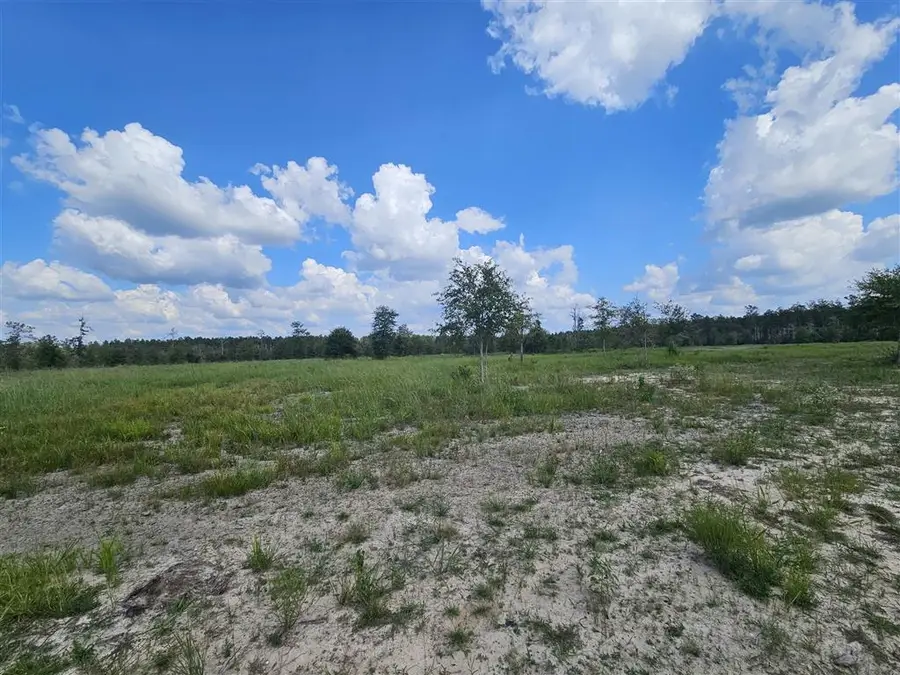 Route 66 Road, Dequincy, LA 70633 - Image #2